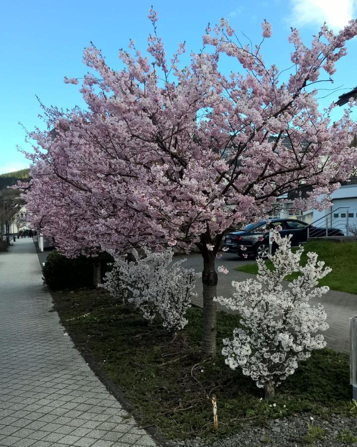 Lejlighed Altstadt Bl *